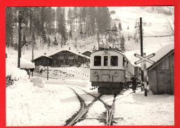 ZVY-18 Train Aigle Les Diablerets Bifurcation Des Planches Photo Kettel Hiver 1941-42  BVA GF NC - Aigle