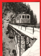 ZVY-20 Train Aigle Les Diablerets Viaduc Vanel Plambuit Photo Kettel 1941-42   BVA GF NC - Aigle