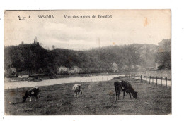 BAS - OHA  - Vue Des Ruines De Beaufort - Wanze