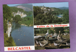 46 Vallée De La Dordogne  LACAVE BELCASTEL Surplombant La Dordogne - Lacave