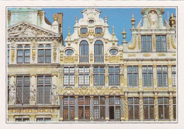 AK148366 BELGIUM - Brüssel - Grand' Place - Marktpleinen, Pleinen