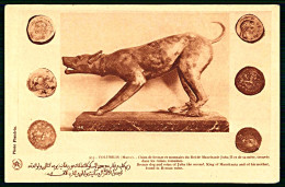 A63 MAROC CPA  VOLUBILIS - CHIEN DE BRONZE ET MONNAIES DU ROI JUBA II TROUVES DANS LES RUINES ROMAINES - Collezioni E Lotti