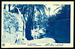 A63 MAROC CPA  BOU-DENIB - LA PALMERAIE - Sammlungen & Sammellose