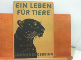 Ein Leben Für Tiere - Mit 79 Bildern Auf Kunstdrucktafeln - Biographien & Memoiren