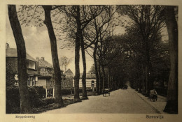 Steenwijk (Ov.) Meppelerweg 1927 Spoortraject Stempel - Steenwijk