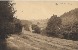 GEDINNE ..-- CHERZY . Peu Commune ! 1921 Vers LIEGE ( Bureau Des Travaux Du Téléphone ) . - Gedinne