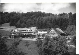 KURHAUS HASENSTRICK  AM BACHTEL FAM BUCHLI HINWIL N°6136 - Hinwil