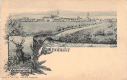 ALLEMAGNE - SALMUNSTER - Waidmannsheil - Carte Postale Ancienne - Andere & Zonder Classificatie