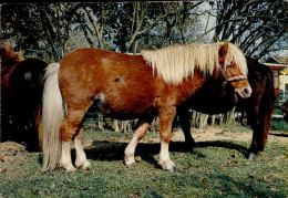 FITILIEU _ LES ABRETS   ( ISERE )  ZOO - MUSEE  DES BRUNIAUX - Les Abrets