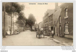 LIBRAMONT ..--  Avenue Du Bois . 1913 Vers DIEST ( Mme VANDER STRAETEN ) . Voir Verso . - Libramont-Chevigny