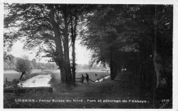 FRANCE - 59 - LIESSIES - Petite Suisse Du Nord - Parc Et Pâturage De L'Abbaye - Carte Postale Ancienne - Sonstige & Ohne Zuordnung