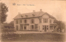 BELGIQUE - RAMET - Villa Les Glycines - Carte Postale Ancienne - Otros & Sin Clasificación