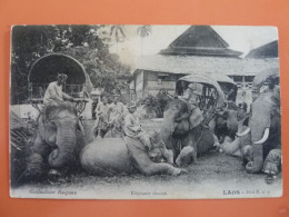 ELEPHANTS COUCHES - Laos