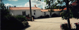 ¤¤    -   HAUTE-GOULAINE   -  Cliché Panoramique D'une Maison Dans Le Vignoble    -  Voir Description      -   ¤¤ - Haute-Goulaine