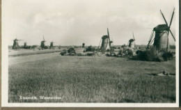 PAYS BAS / NEDERLANDS - Kinderdijk : CP-Photo - Molen / Moulin - Watersmolen - Kinderdijk