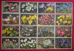 Lot 120 Cartes Postales Fleurs Et + 8 Fruits Switzerland éditeur Phot E. Gyger Abelboden Franco Port France Métro TBe - Verzamelingen & Kavels