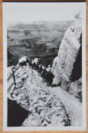 Grand Canyon Du Colorado - South Rim - Carte Photo - Chemin Et Descente (annotation Au Dos) - Animée - Chevaux (n°26896) - Gran Cañon