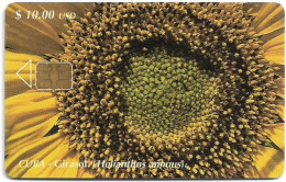 Cuba - Etecsa (Chip) - Flowers - Girasol (Helianthus Annuus), 06.2001, 10$, 30.000ex, Used - Cuba