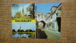 Royaume-uni , Angleterre , Salysbury , Salisbury - Salisbury