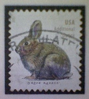 United States, Scott #5544, Used(o), 2021 Definitive, Brush Rabbit, (20¢), Gray - Gebraucht