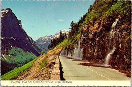 Montana Glacier National Park Weeping Wall On Going-To-The-Sun Road - Other & Unclassified