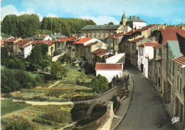 Darney * La Mairie Et La Salle Des Fêtes , Vue Prise De La Terrasse De L'éléphant * Rue - Darney