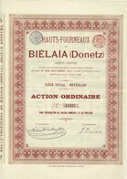 Ancienne Action - Hauts-Fourneaux De Biélaïa (Donetz) - Titre De 1899 - Titre N° 13529 EF - Russie