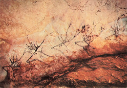 MONTIGNAC - GROTTE PREHISTORIQUE DE LASCAUX - FRISE DE CERFS SUR LA PAROI DROITE - Montignac-sur-Vézère