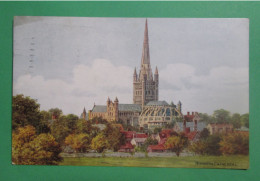 NORWICH / Norwich Cathedral - Norwich