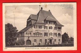 ZVZ-33 Estavayer-le-lac Institut De Stavia Bellevue Savigny 2046  Circulé 1925  - Estavayer