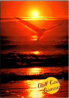 Mississippi Ocean Springs Beautiful Gulf Coast Sunset - Andere & Zonder Classificatie
