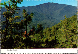 Tennessee Great Smoky Mountains National Park Mount LeConte - Smokey Mountains