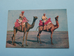 CAMEL Riders, Clifton Beach > Karachi > Pakistan ( Edit. : Faridi ) Anno 1968 ( See / Voir > Scans ) ! - Pakistan