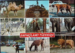 Tuddern - Safariland - Tu 11 - Heinsberg