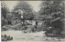 - 3172 - TROIS - PONTS  La Salm - Trois-Ponts