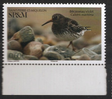 Saint Pierre Et Miquelon 2021 N° 1253 ** Oiseau, Bécasseau Violet, Calidris Maritima, Limicole, Bec, Algues, Insectes - Unused Stamps