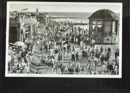 DR: AK Vom Nordseebad Borkum Mit Promenadenkonzert Auf Der Wandelhalle Mit 6 Pf Hindenburg Vom 30.8.1936 Knr: 484 - Leer