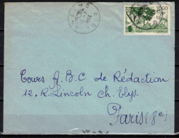 Togo, Lettre Pour Paris, Cachet ANECHO - Lettres & Documents