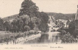 Belgique - YVOIR SUR MEUSE - Vue Du Bocq Et Château - Yvoir