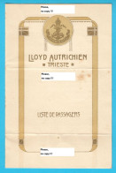 AUSTRIAN LLOYD Steamer WIEN (Trieste-Alexandria) Passenger List 1913 * Osterreichischer Austriaco Austria Osterreich - Autres & Non Classés
