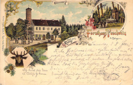 Gruss Aus Forsthaus Puschwitz Gel.1902 - Belgern