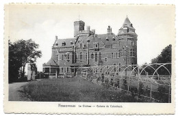 CPA Nessonvaux, Le Château, Colonie De Colomheid - Trooz