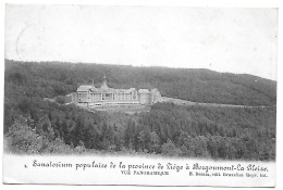 CPA Sanatorium Populaire De La Province De Liége à Borgoumont-La Gleise, Vue Panoramique - Stoumont