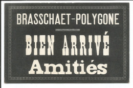 Brasschaat - Brasschaet Polygone - Bien Arrivé, Amitiés - Brasschaat