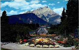 Canada Canadian Rockies Alpine Gardens Banff Avenue And Cascade Mountain - Banff