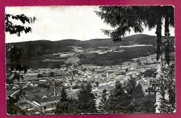 Granges-sur-Vologne (88) Vue Générale 2scans - Granges Sur Vologne