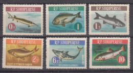 Albania 1964 Animals Fish Mi#809-814 Mint Never Hinged - Albanien