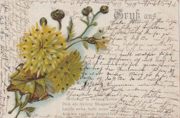 AK Gruss Aus... - Blumen Künstlerkarte Glitter - Kiel 1902  (64944) - Saluti Da.../ Gruss Aus...