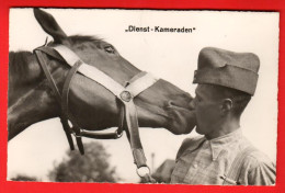 ZWA-45  Militär Militaire Dienst-Kameraden  Dragon Et Son Cheval. Feldpost Aarau   Gross M 59 - Aarau