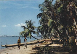 AK149021 AFRICA  In Pictures - Cocoa-nuts And Palms On The Beach - Non Classés